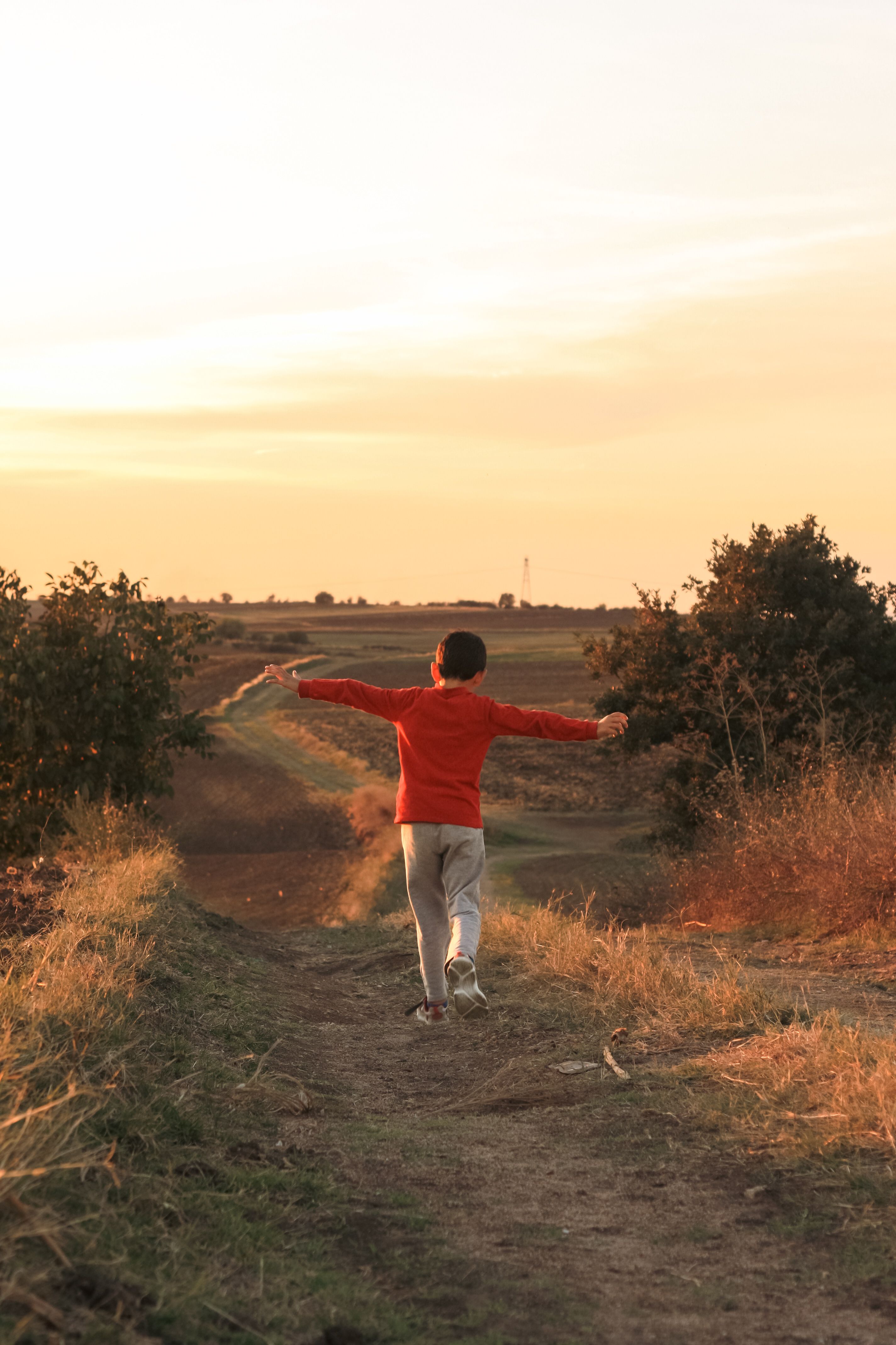 How child therapy sessions unfold — Happy Camper